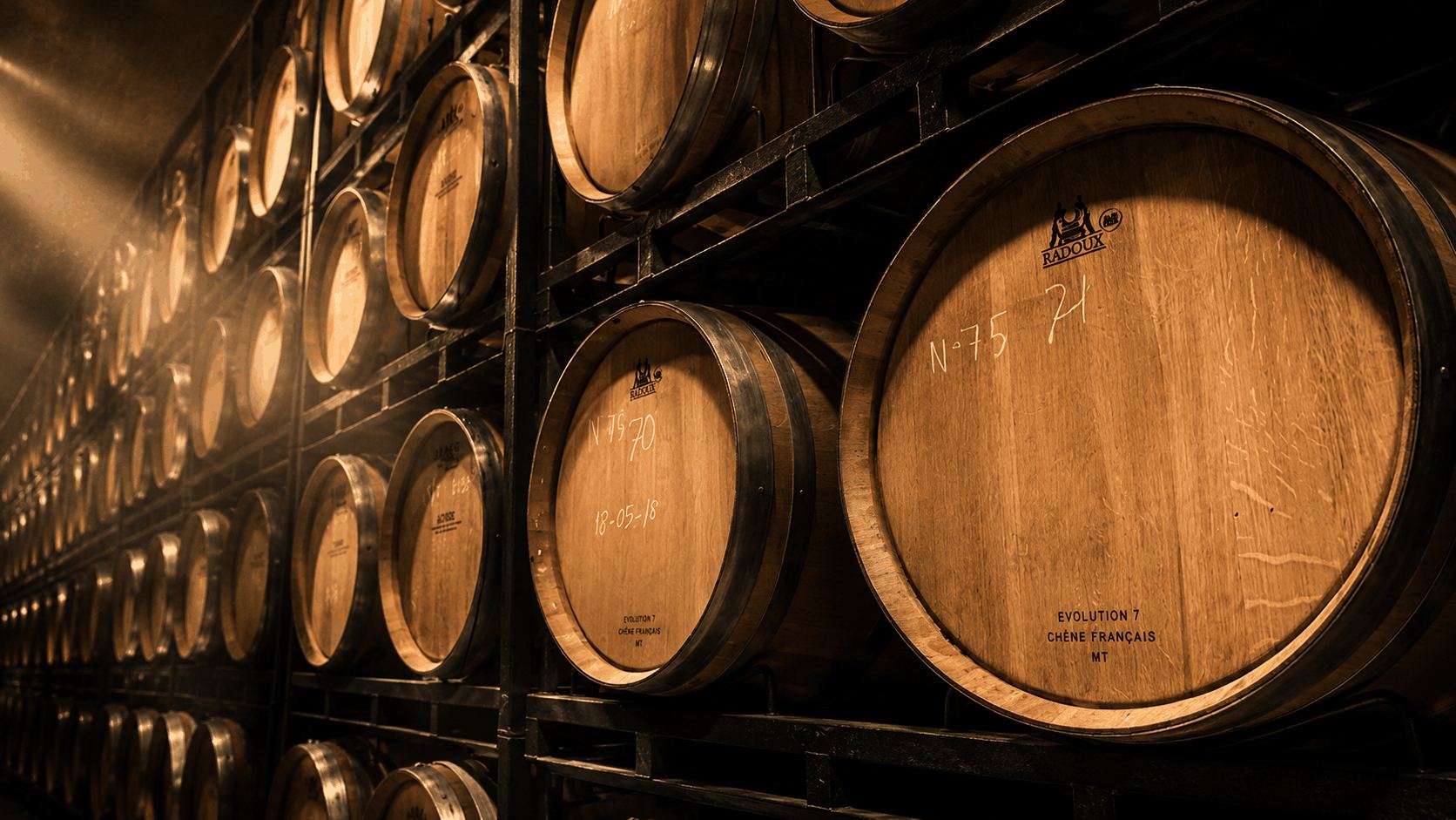 Barrels in the cellar