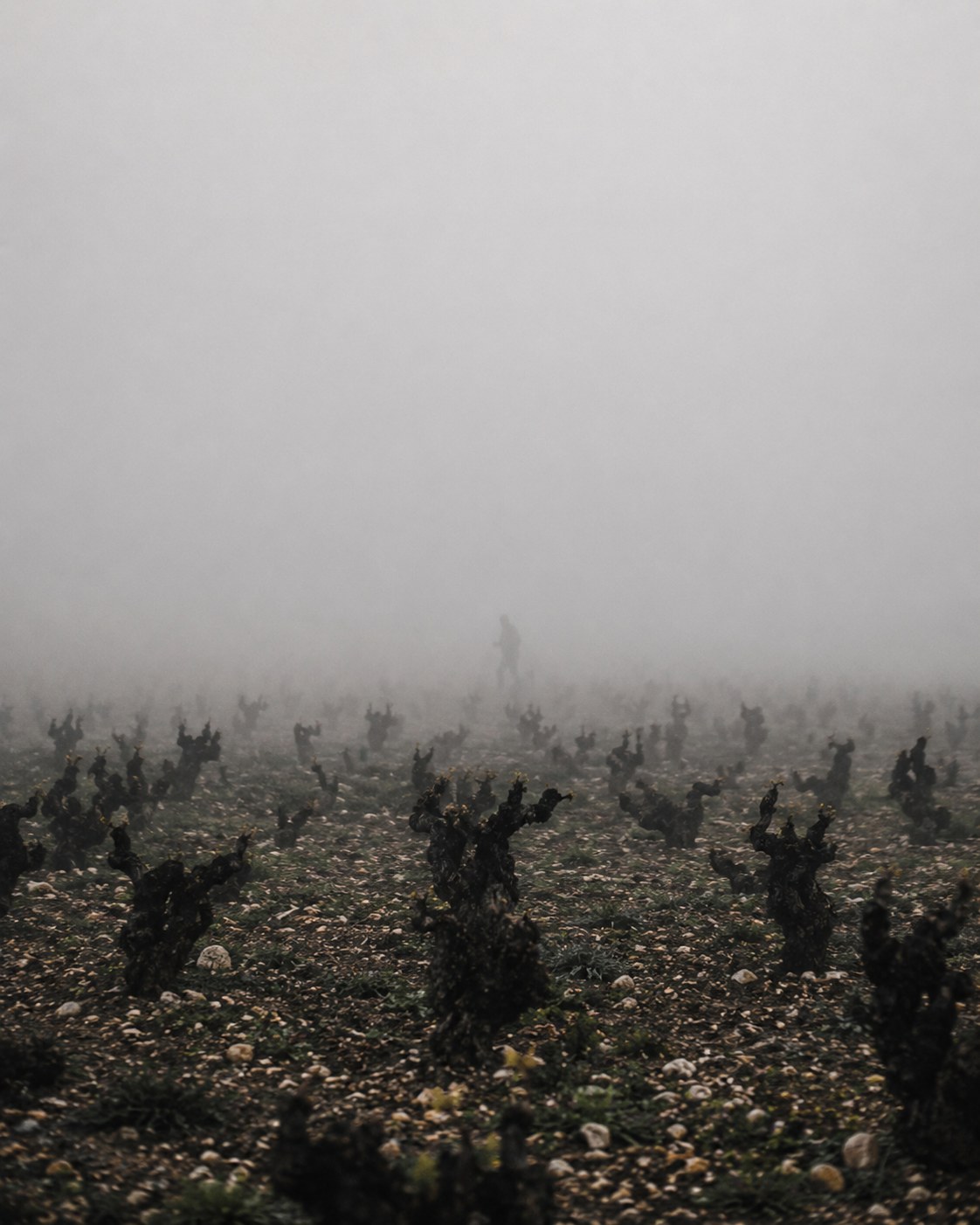 No. 02 &middot; Winter 2026