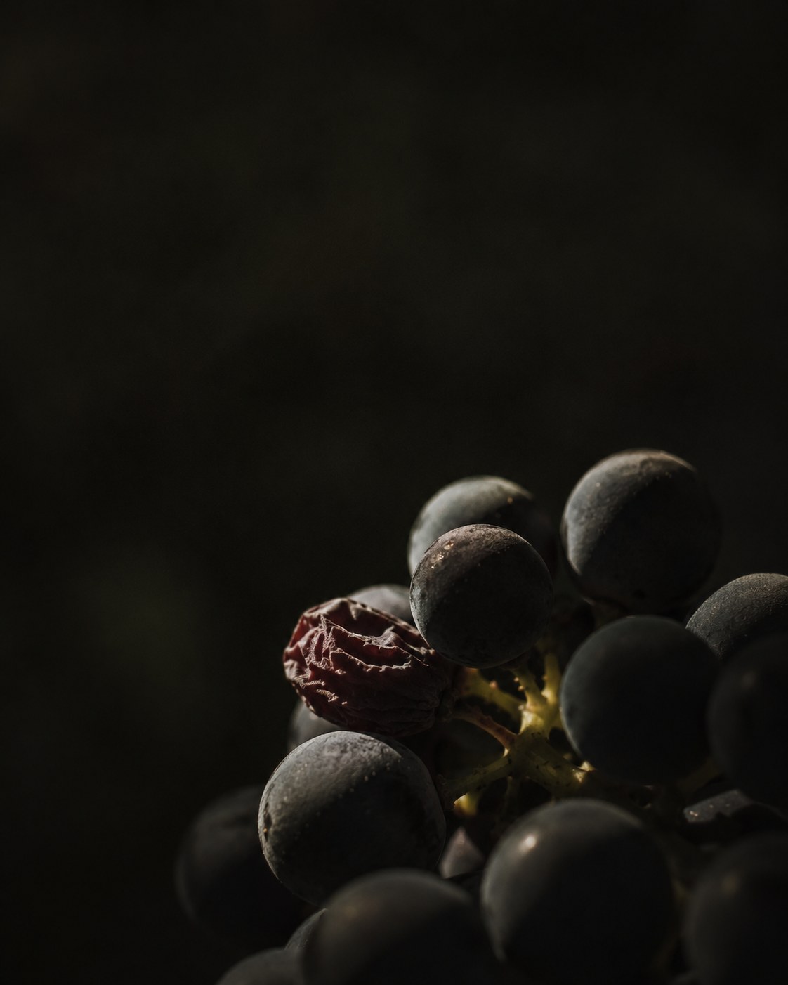 Harvest with a small professional group