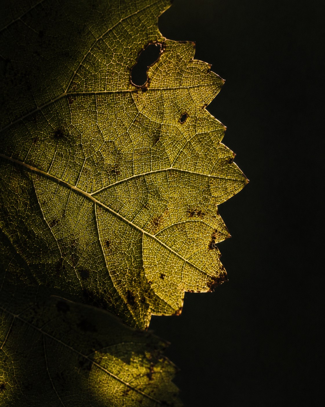 No. 01 &middot; Autumn 2025